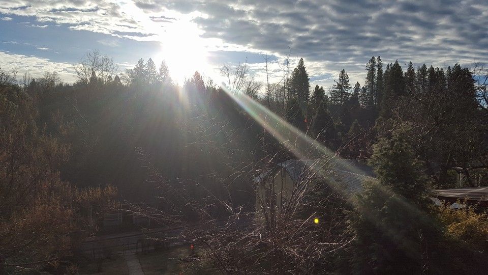 Healing Sessions in Grass Valley and in Your Home