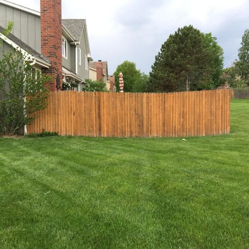 BEFORE:
Aging 19-year-old cedar fence with signifi