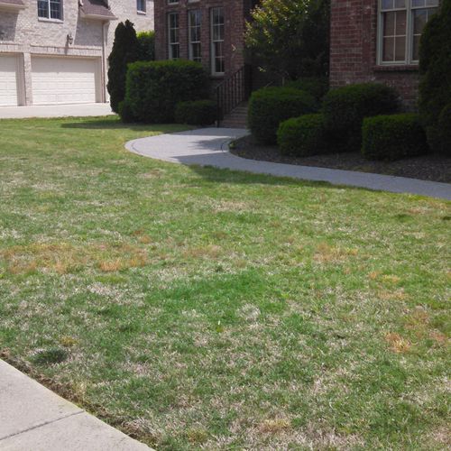 Lawn and hedges after completion: mow, trim, and b
