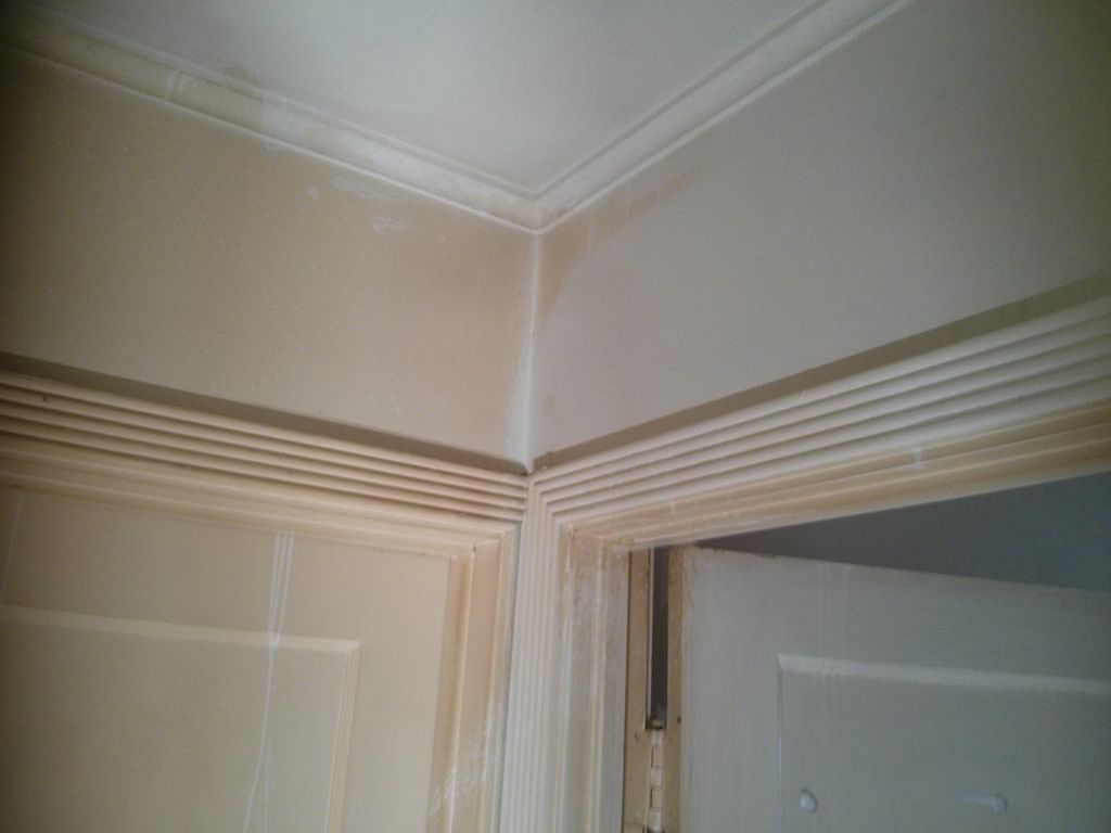 Removal of decades of nicotine saturation ... in m