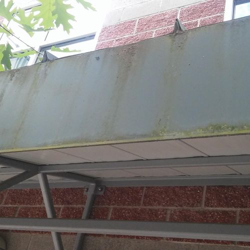 Algae built up over the winter on sheet metal awni