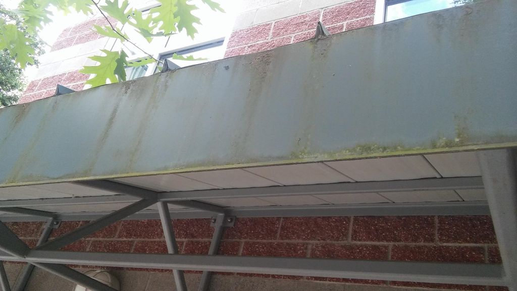 Algae built up over the winter on sheet metal awni