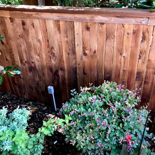 5ft tall/20ft long western red cedar fence build!
