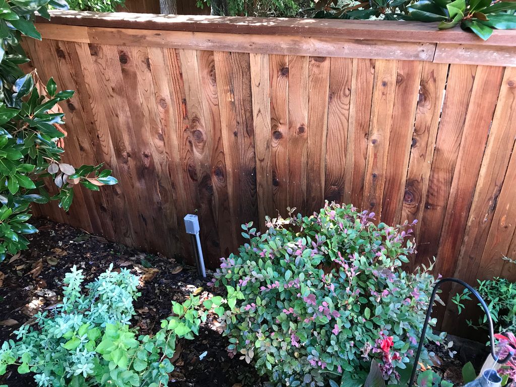 5ft tall/20ft long western red cedar fence build!