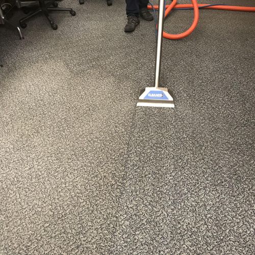 Commercial - Carpet 