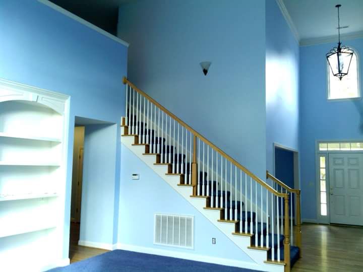 Pro Look Painting & Drywall
