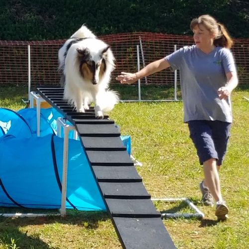 Agility builds Confidence and is great exercise fo