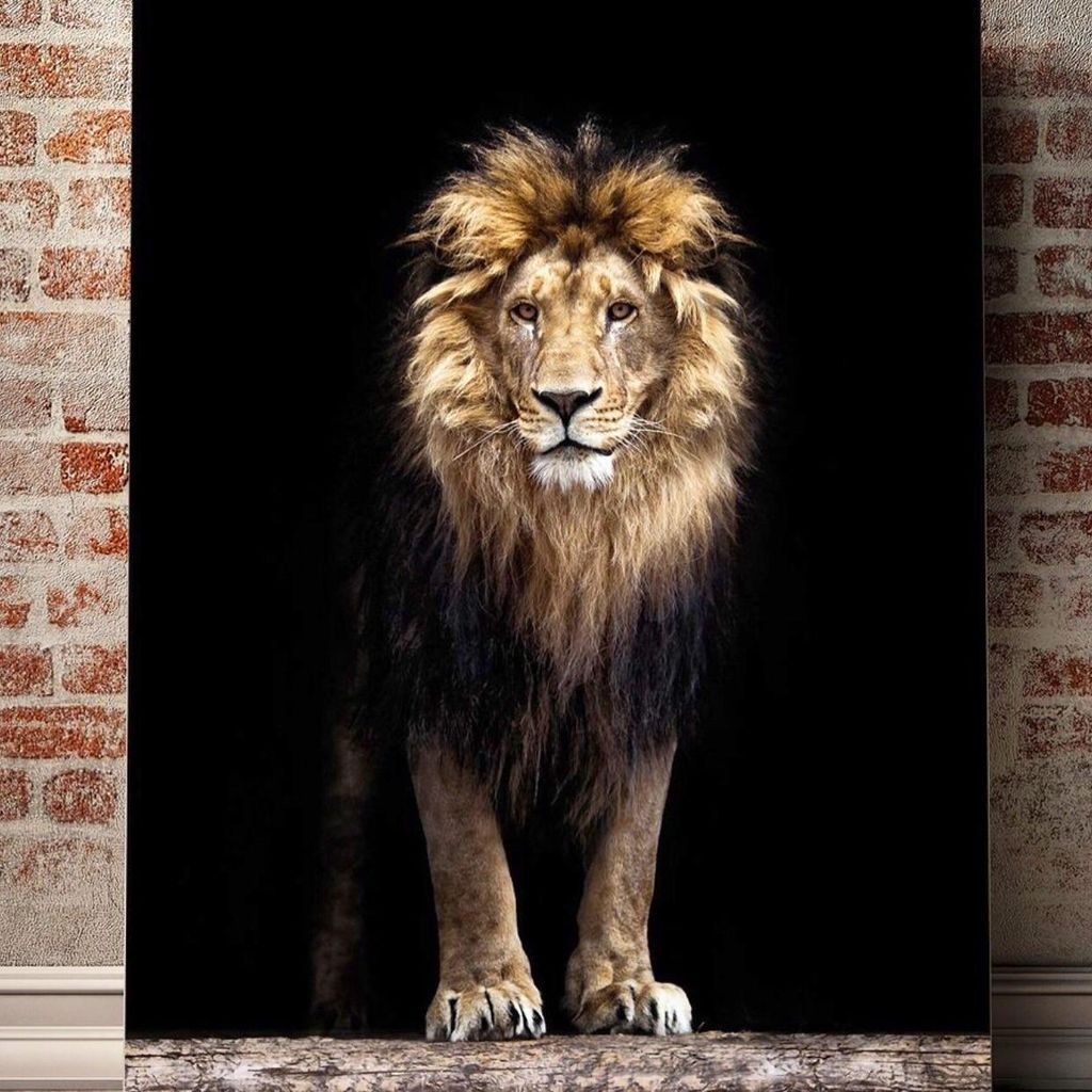 West Palm Beach Signs & Services