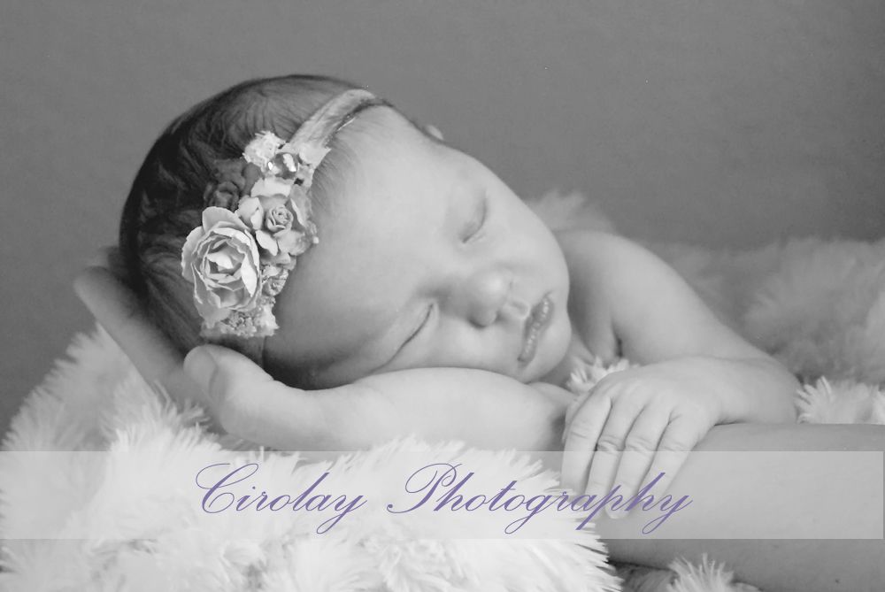 Cirolay Photography by Lauren Hofferber
