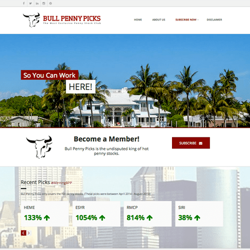 We helped develop Bull Penny Picks logo, built and