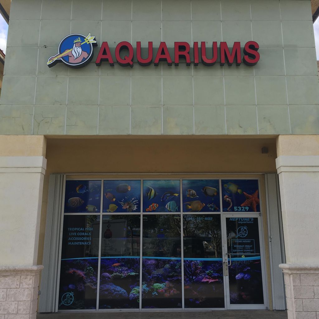 Neptunes Aquariums Llc