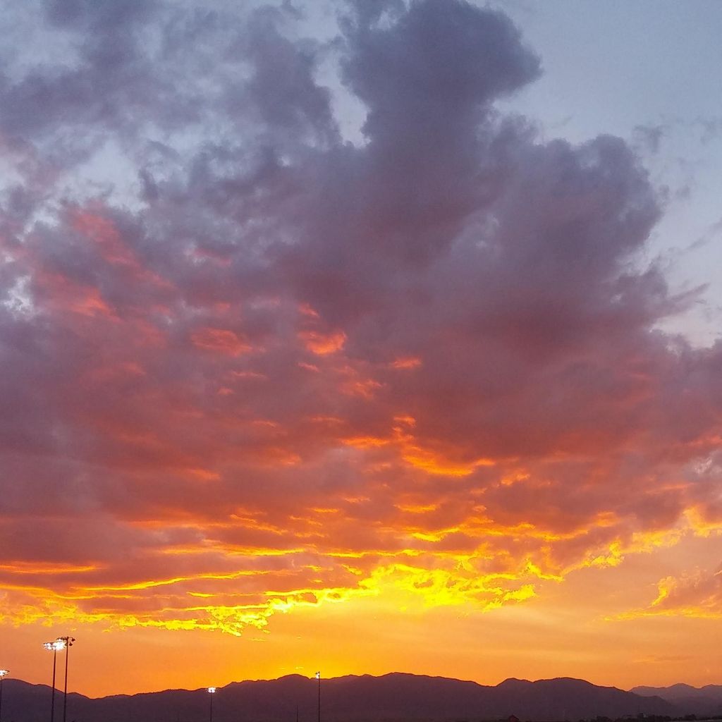 Ashley Nicole Photography