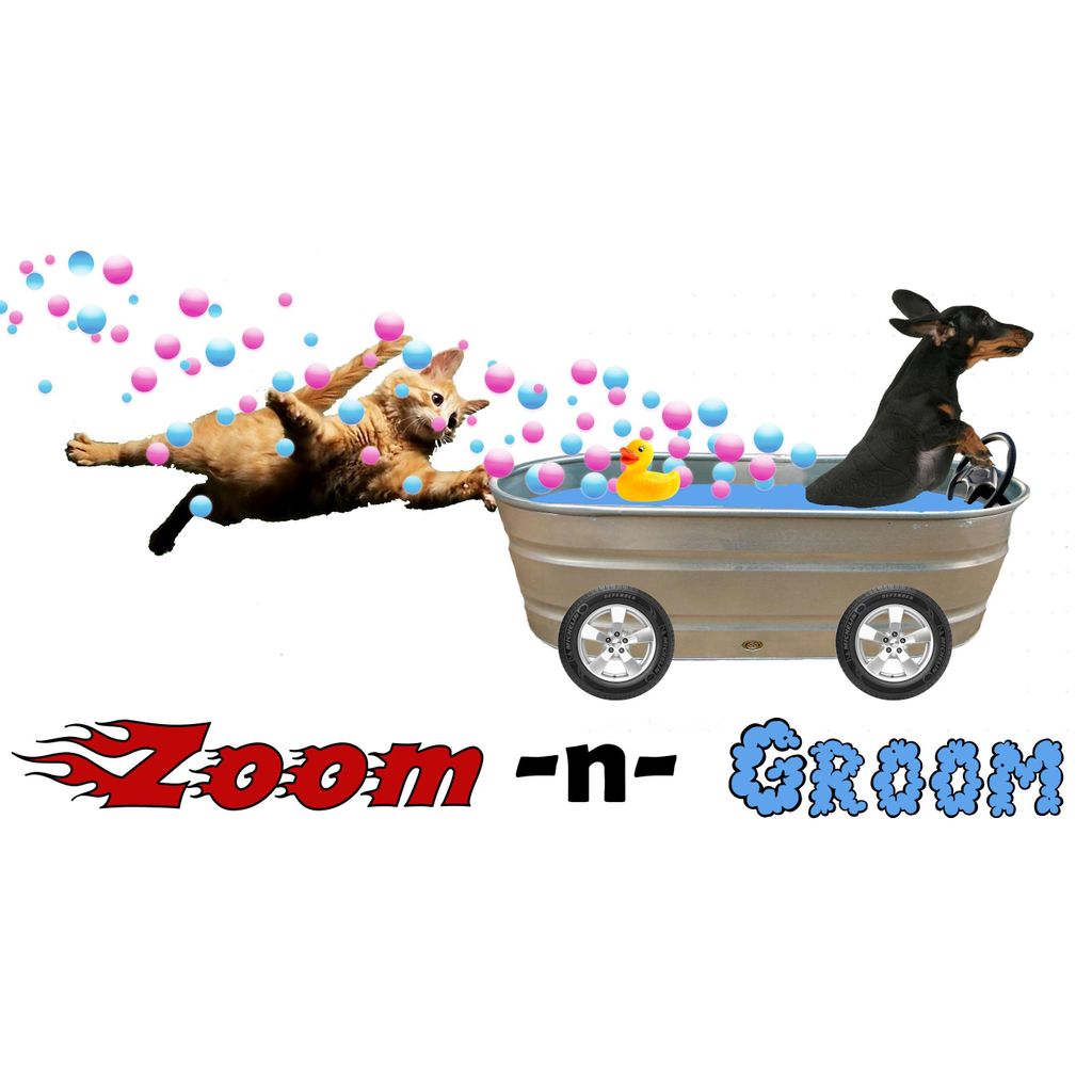 Zoom -n- Groom