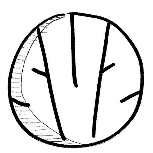 Company logo design, Space Men Studios