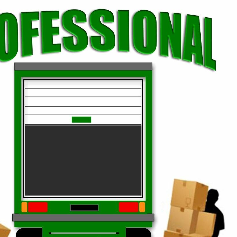 Professional Moving Service, LLC