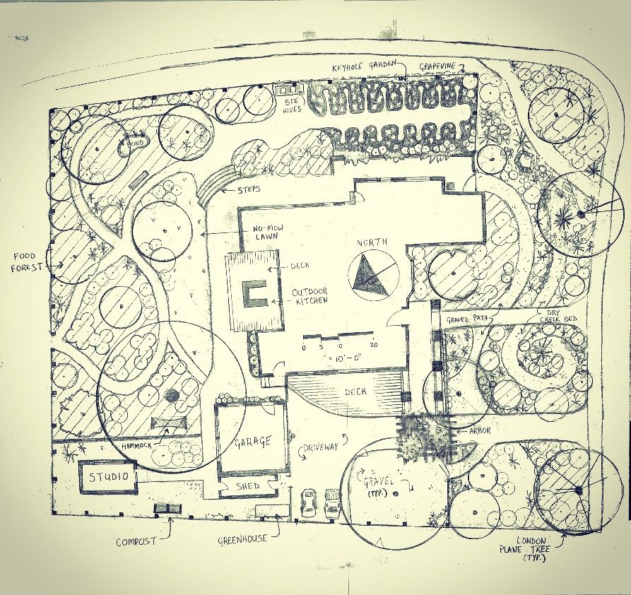 Permaculture design for Lafayette home.  Construct