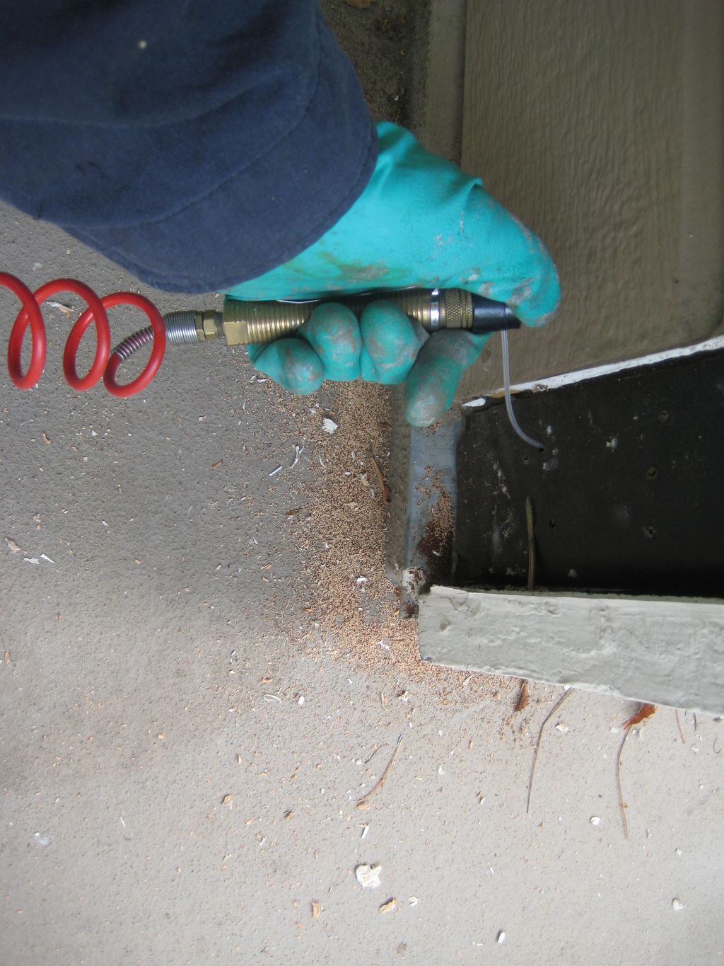 Drywood Termite Local Treatment.