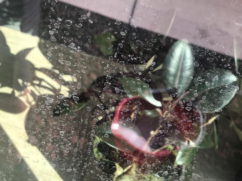 This shows the water stain, that have been there f