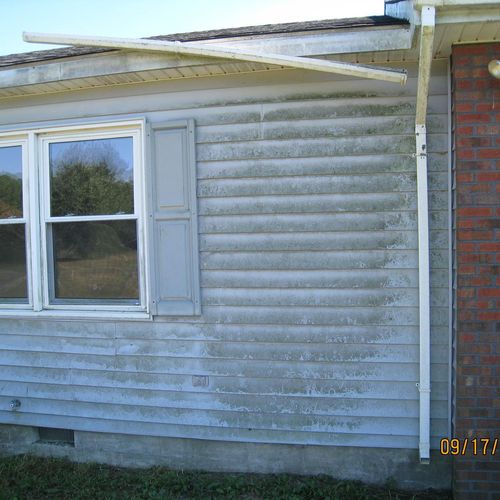 Before removal of Mildew and Mold on siding of hou