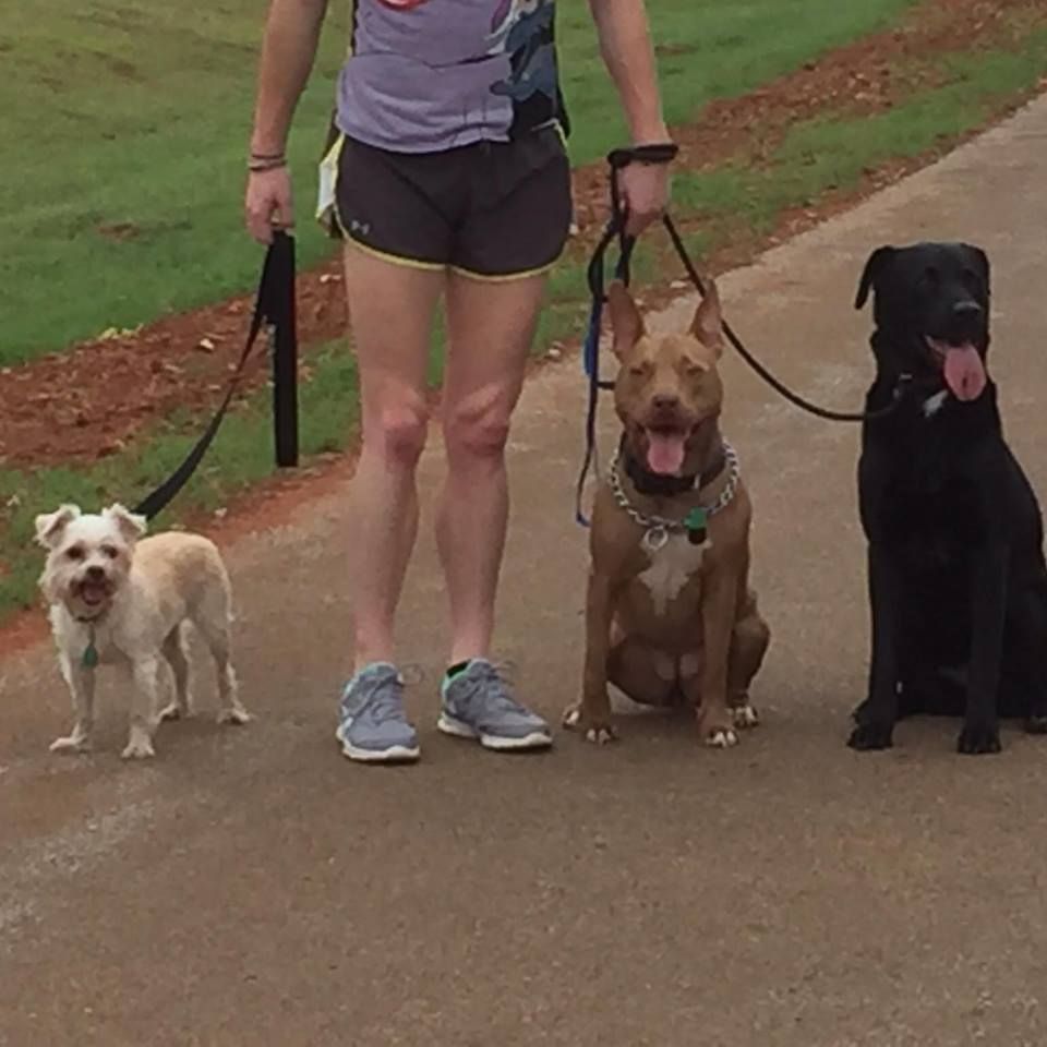 Helping Love and Elanor get to know Kimber.