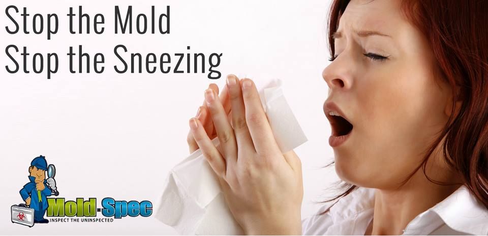 Mold isn't only bad for your home, it's bad for yo
