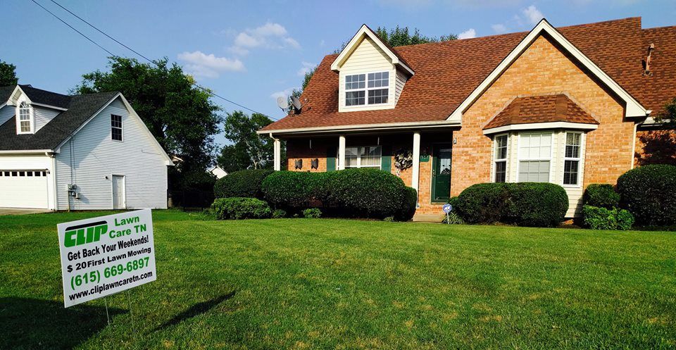 $20 Special FIrst Lawn Mowing