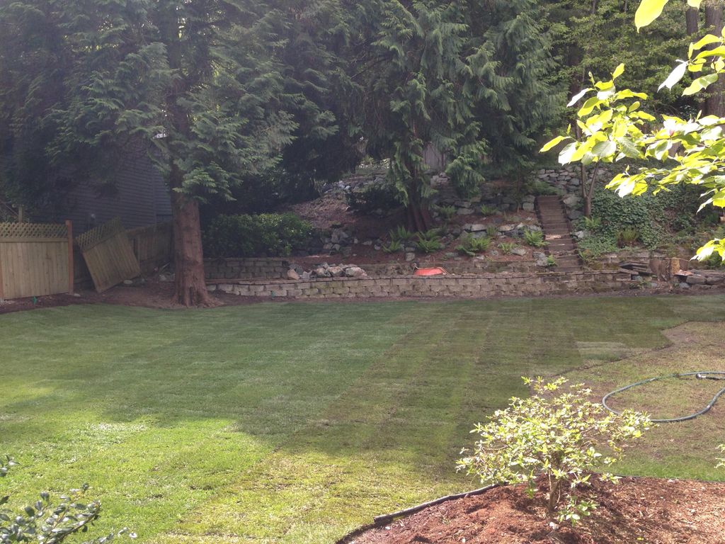 same sod installation from another angel - This is