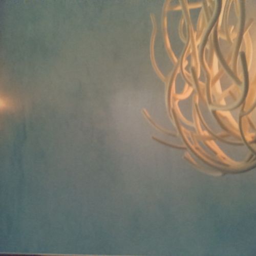 Venetian Plaster can be done in ANY color specific