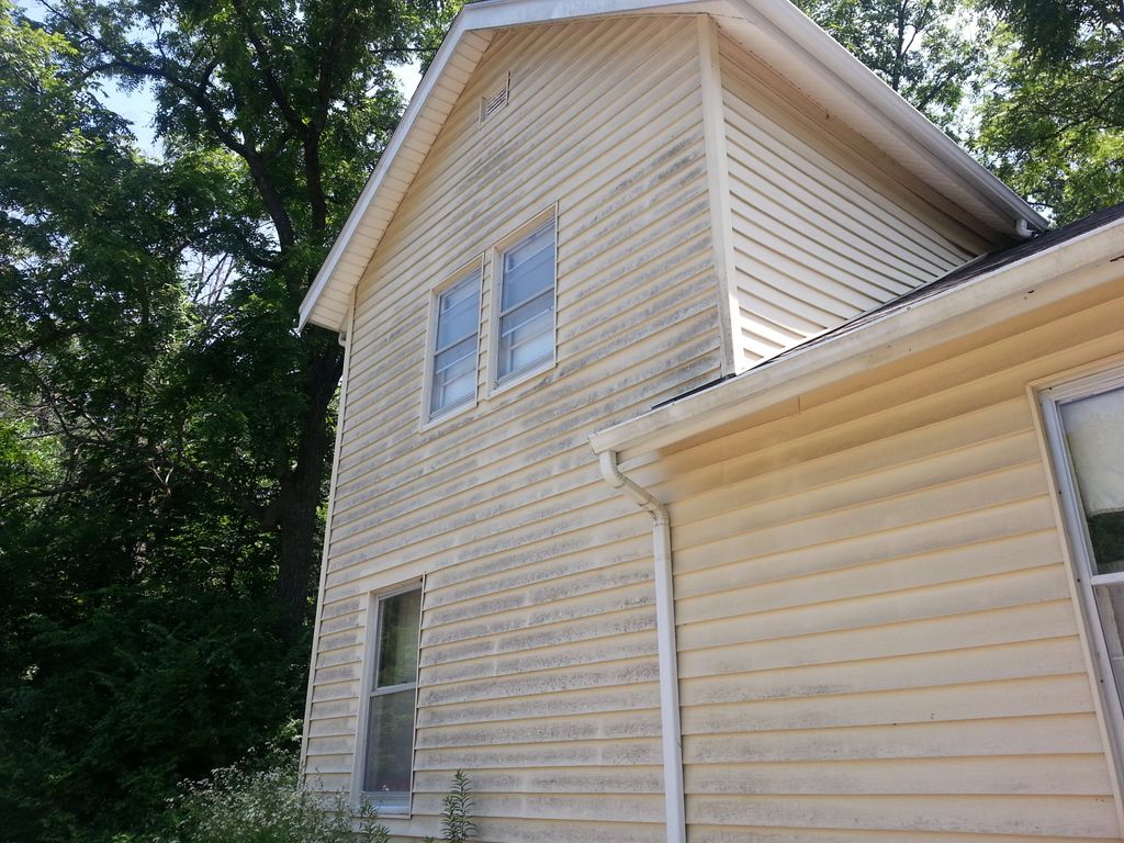 Mold on house siding