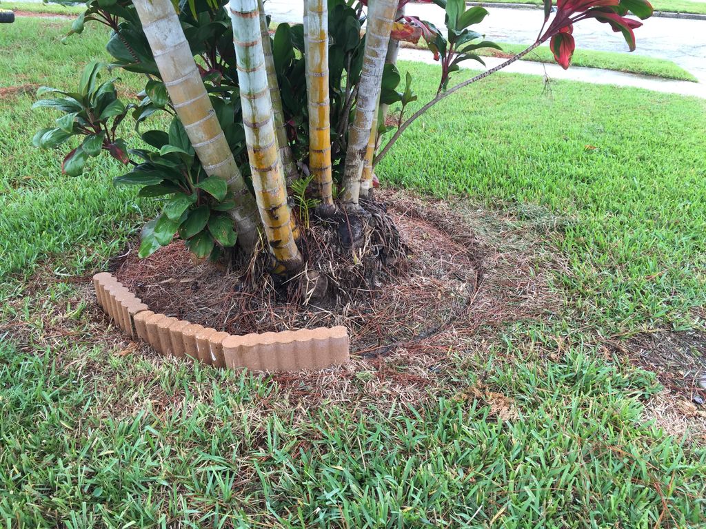 Garden project before work done