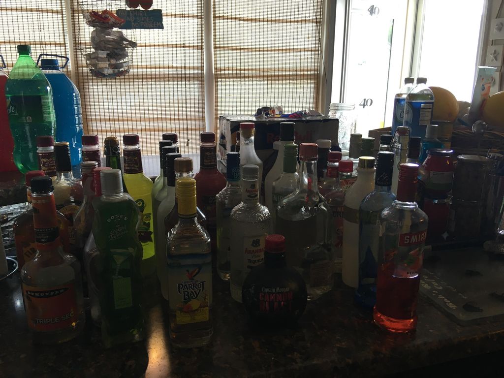 Bartended a private event - birthday party