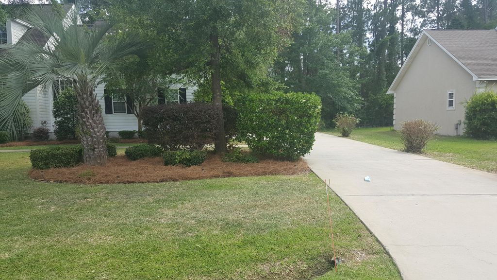 Pine straw installation 