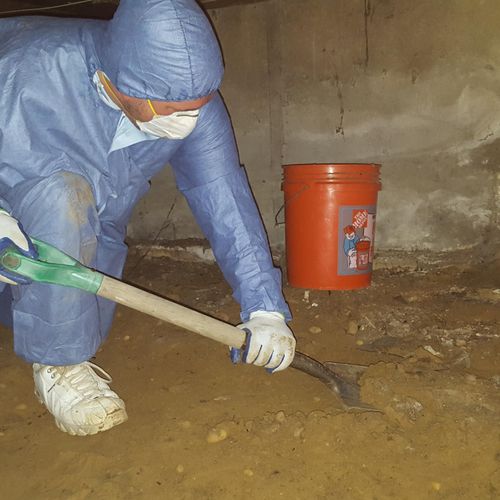 Crawlspace Sewage Cleaning