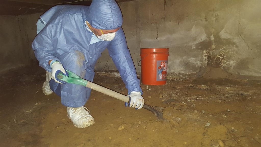 Crawlspace Sewage Cleaning