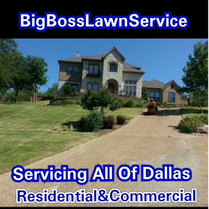 Big Boss Lawn Service