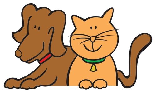 Pet Vet Animal Hospitals - Heights