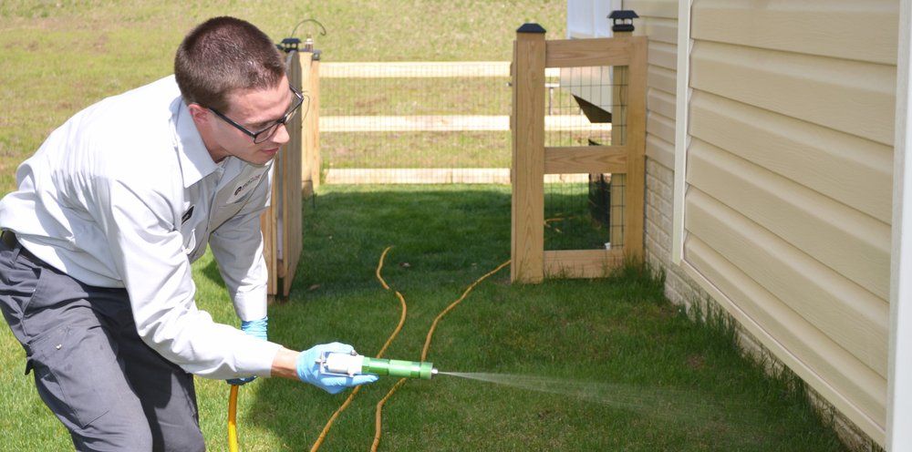 Power Spraying the Foundation of the home