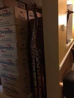 More boxes from the move of this huge house.
