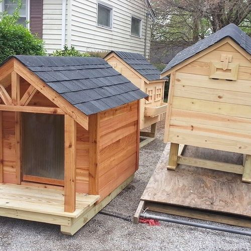 Cedar dog house and Spruce Pine chicken coop.