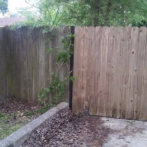 To the right a soft washed fence. On left is what 
