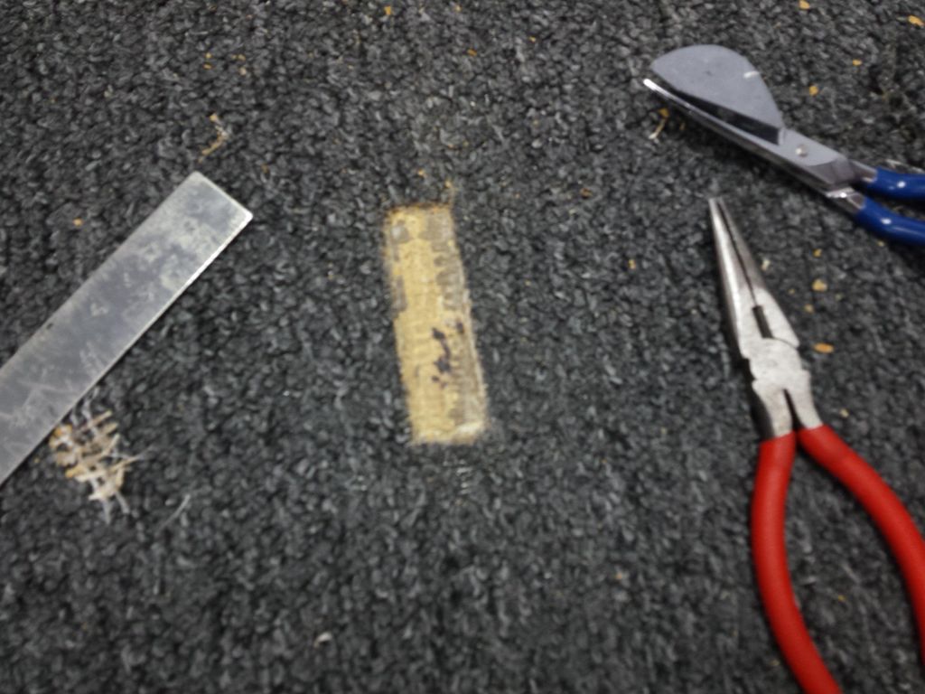 Commercial Carpet Damage (before).