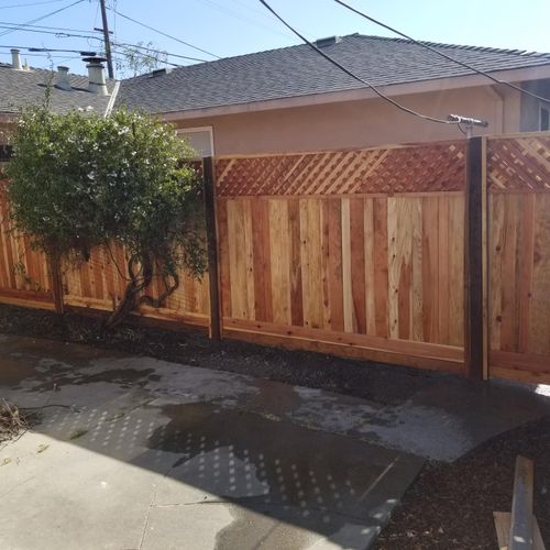 New Fence with Ladders