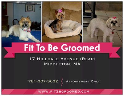 Fit To Be Groomed