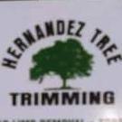 Hernandez Tree Trimming