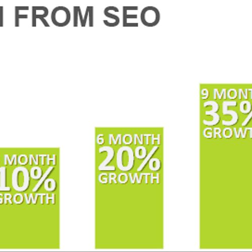 ROI from Search Engine Optimization.