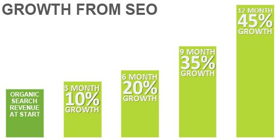 ROI from Search Engine Optimization.
