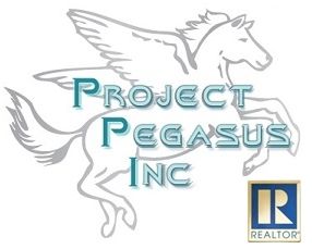 Project Pegasus International & Local Realty