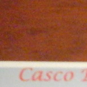 Casco Bay Limousine 350-1629
