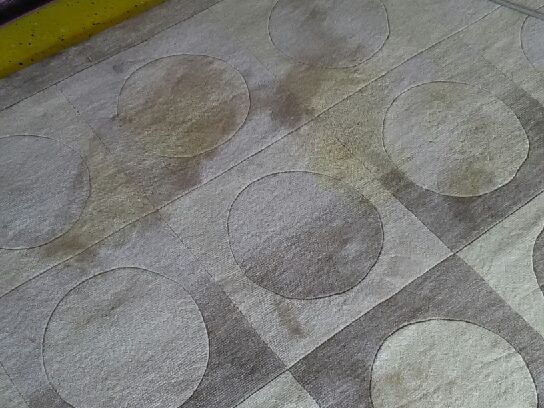 Wool before pet stain treatment ...