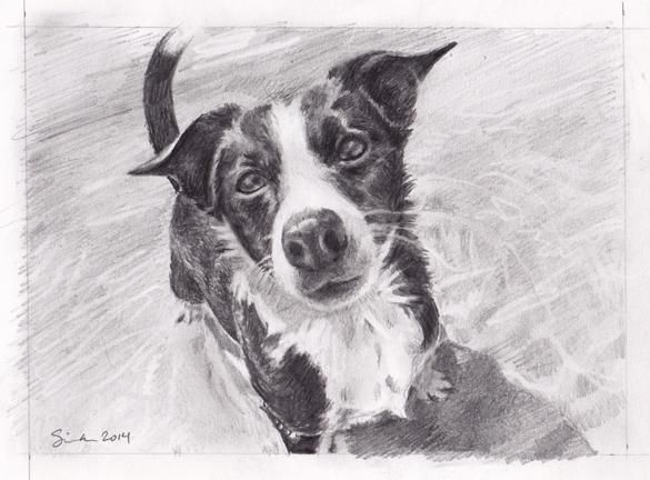 Graphite commission